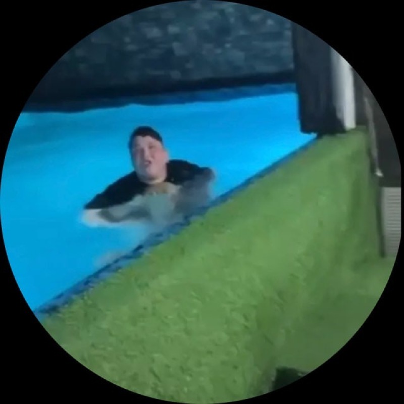 Аватар слив пантера казань